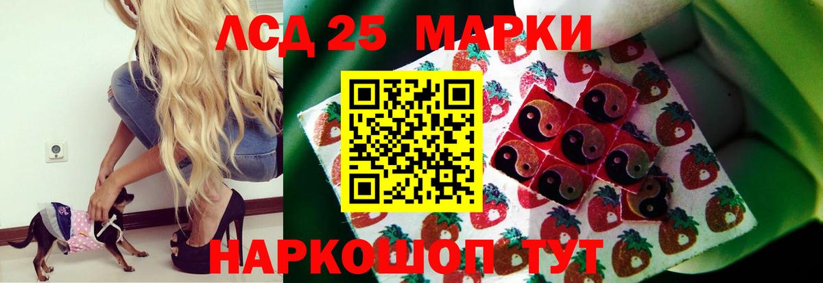 ссылка на мегу ссылка  Вход с VPN  Ефремов  ЛСД экстази кислота  LSD-25 экстази 