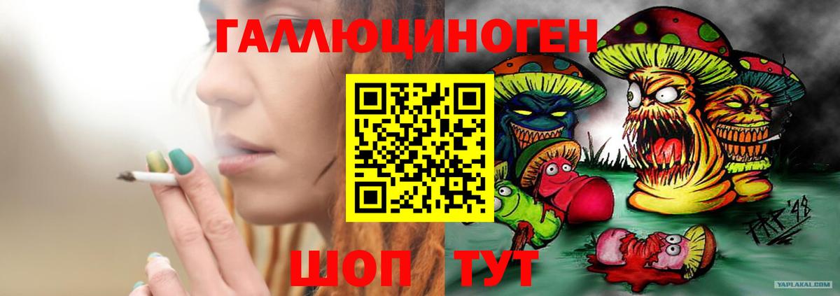 Псилоцибиновые грибы Psilocybe  Вход с VPN  Псилоцибиновые грибы прущие грибы  Ефремов 